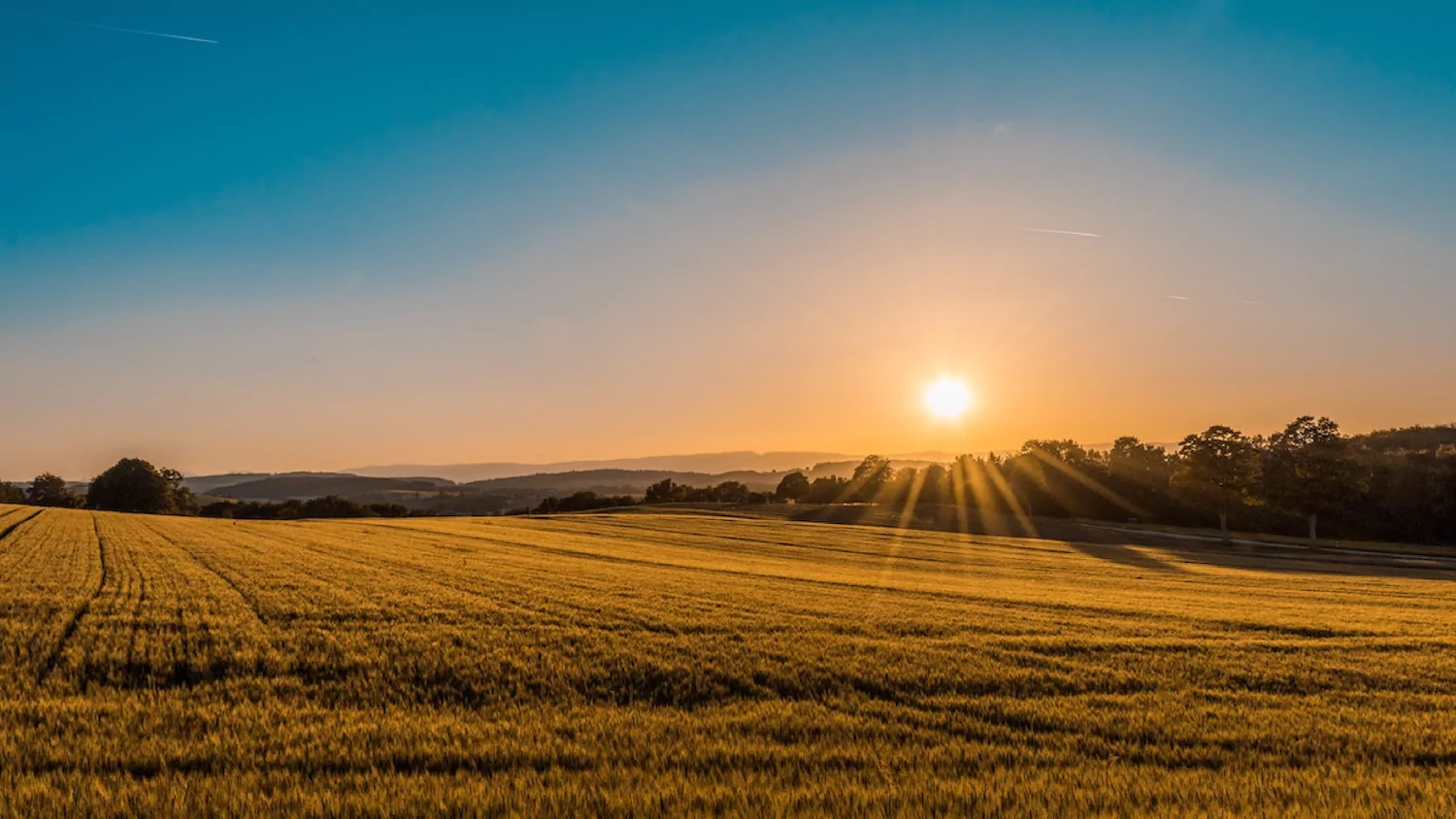 the sun sets over a golden field, alluding to the warmth created when encouraging church leadership