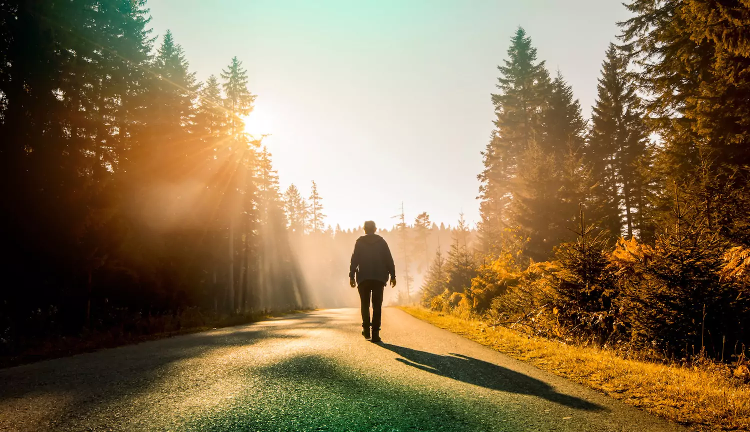 A pastor walks among pine trees considering his calling.